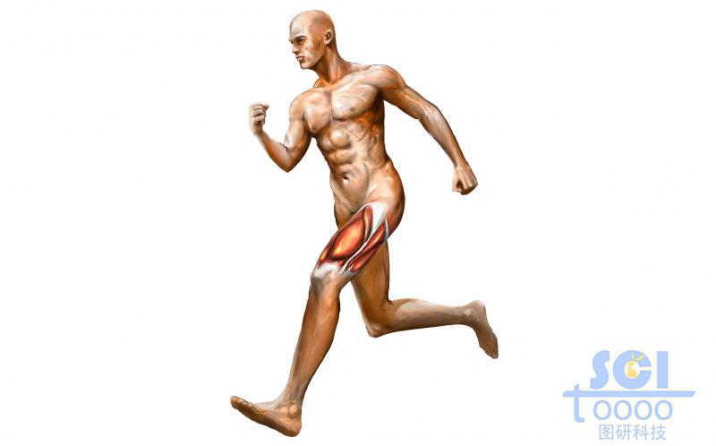 帶大腿肌肉的人物跑步圖
