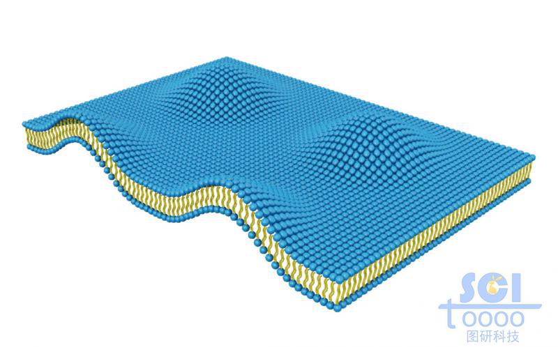 起伏的膠束膜片