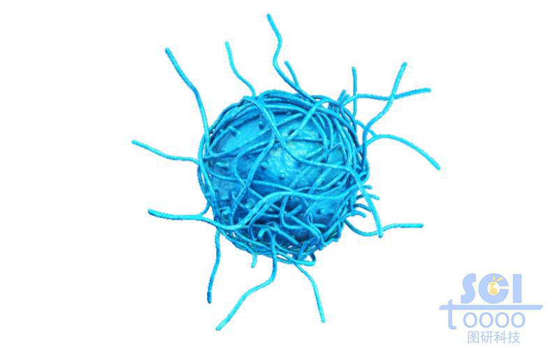 表面相互交纏的高分子鏈段形成的實(shí)心球