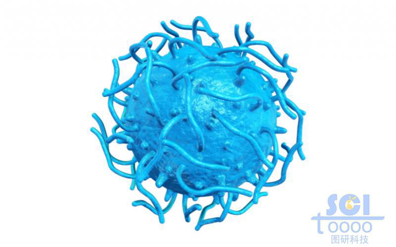 表面相互交纏的高分子鏈段形成的實心球