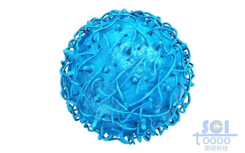 長鏈短鏈交織的實心納米球