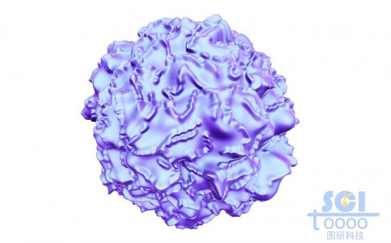 表面粗糙的癌細胞/病毒