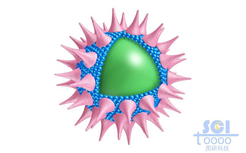 表面有錐形高分子結(jié)構(gòu)粘附的實心球