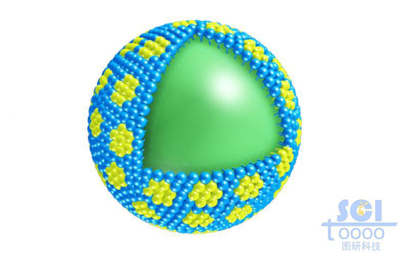 表面帶標記位點的內(nèi)部實心填充球