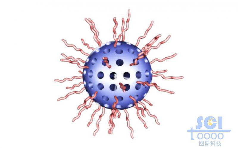 氧化硅介孔球表面帶高分子鏈段