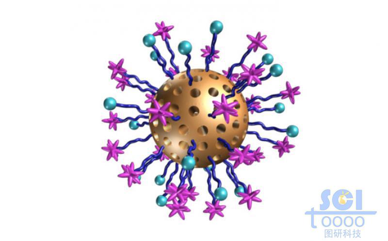 氧化硅介孔球表面帶兩種不同基團的高分子鏈段