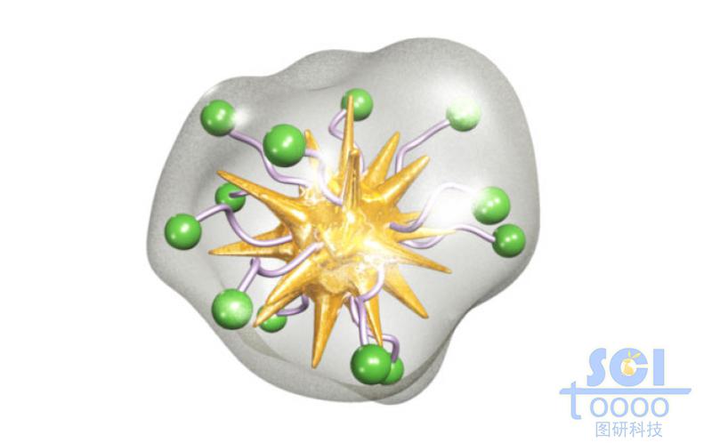 表面帶修飾基團且被透明膜包裹的金納米星