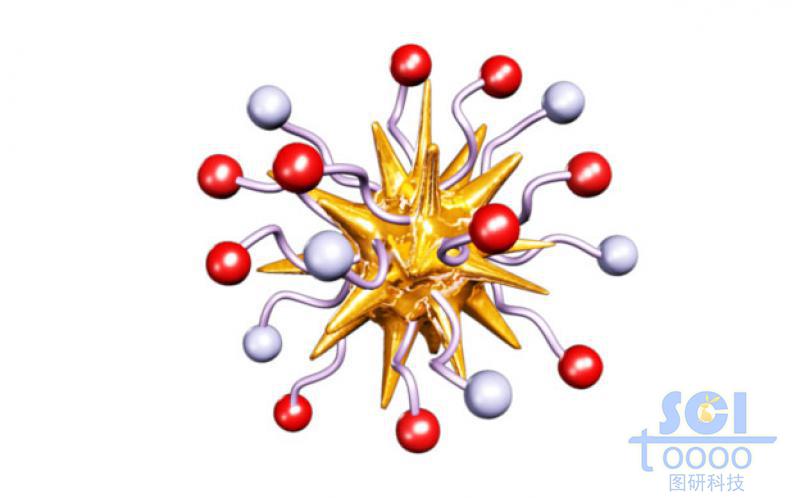 帶兩種基團修飾的金納米星