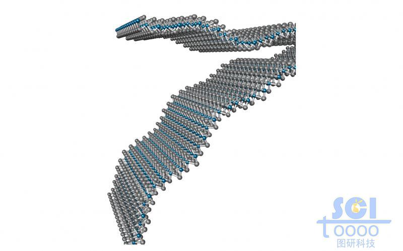 柔軟起伏的二硫化鉬片