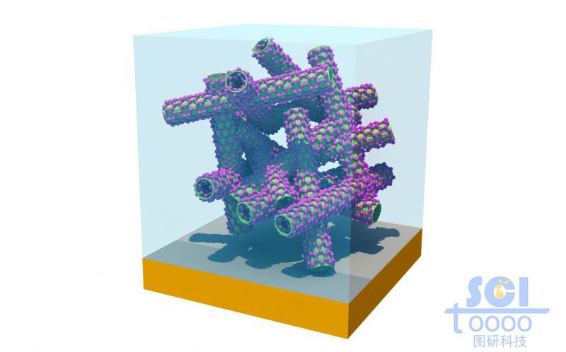 金基底板上的碳納米管堆積生長(zhǎng)形成錯(cuò)落的碳納米管骨架結(jié)構(gòu)