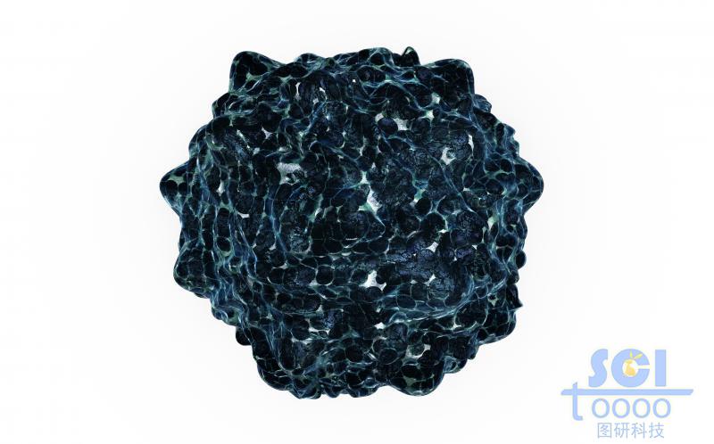 表面粗糙的癌細(xì)胞/病毒