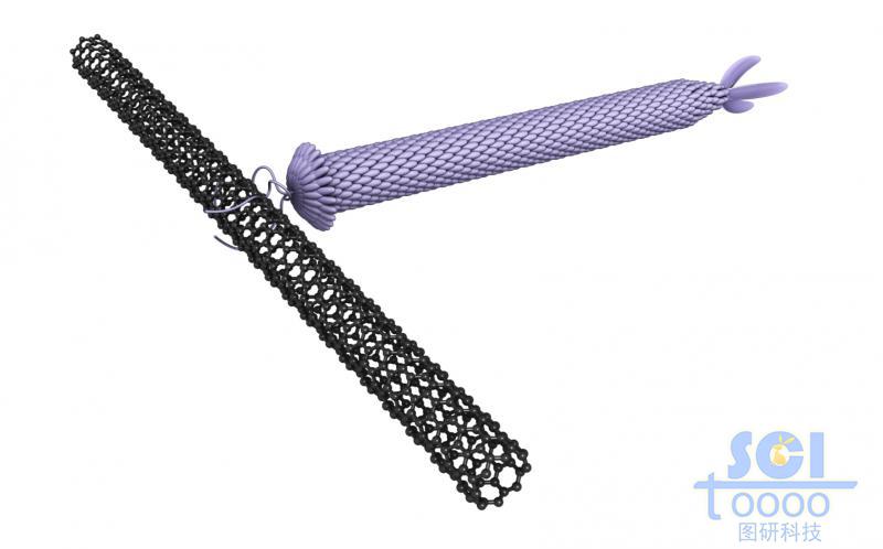 抓著碳管的病毒