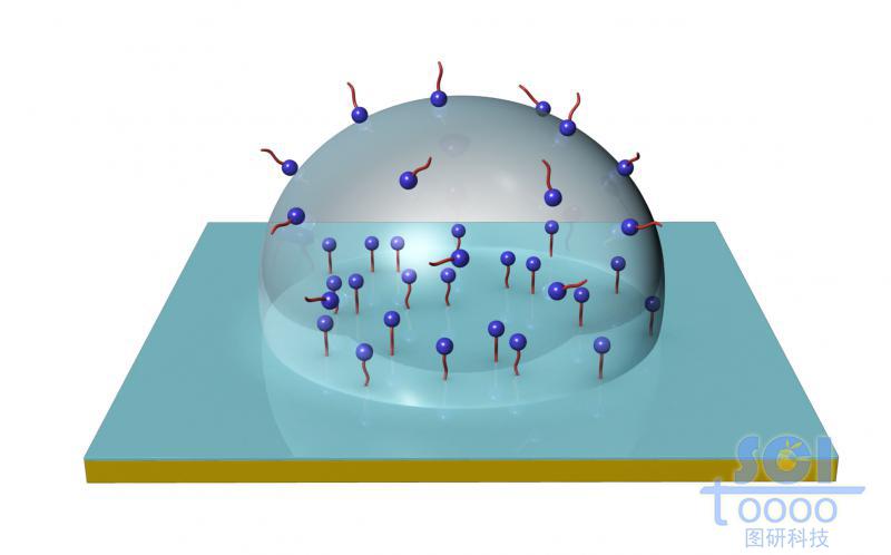 表面帶活性小基團的半球形液滴