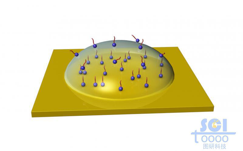 表面帶活性小基團的半球形液滴