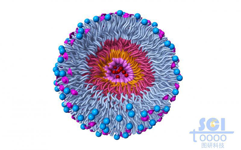 高分子鏈段向心團聚形成的納米藥物/納米粒子