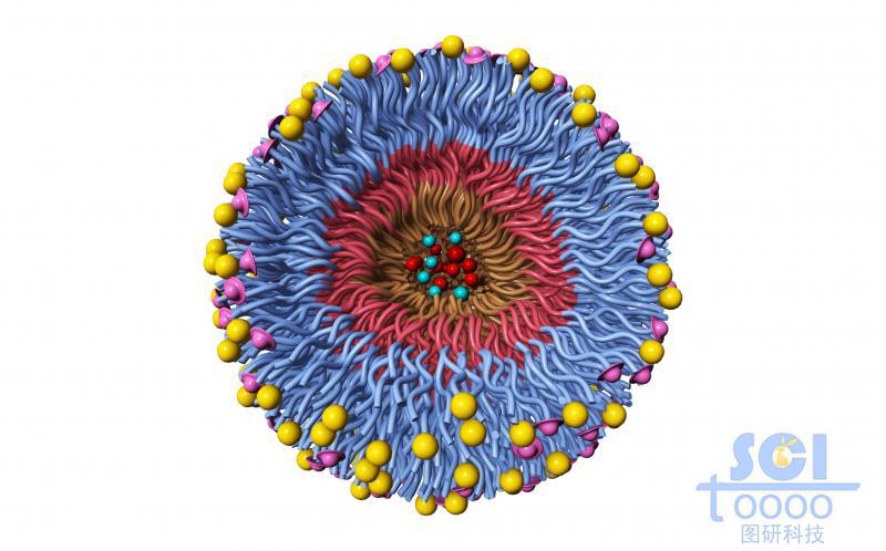高分子鏈段向心團(tuán)聚形成的納米藥物/納米粒子