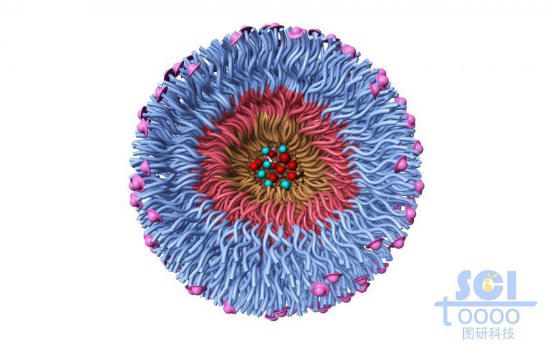 高分子鏈段向心團(tuán)聚形成的納米藥物/納米粒子