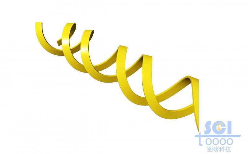 不帶堿基對(duì)的DNA雙螺旋鏈