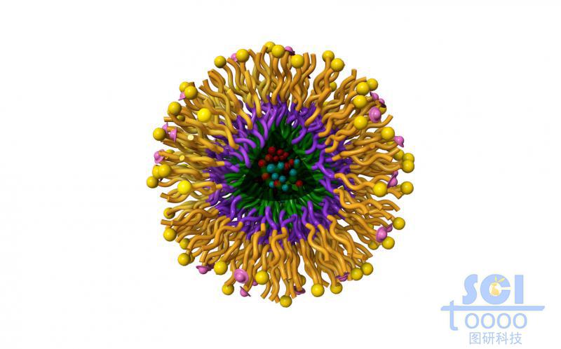 高分子鏈段向心團(tuán)聚形成的納米藥物/納米粒子