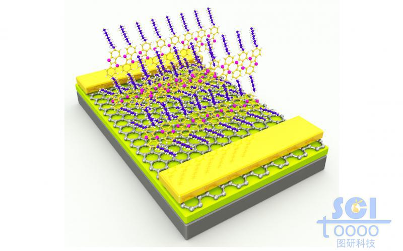 石墨烯電極對(duì)其他小分子的測(cè)定