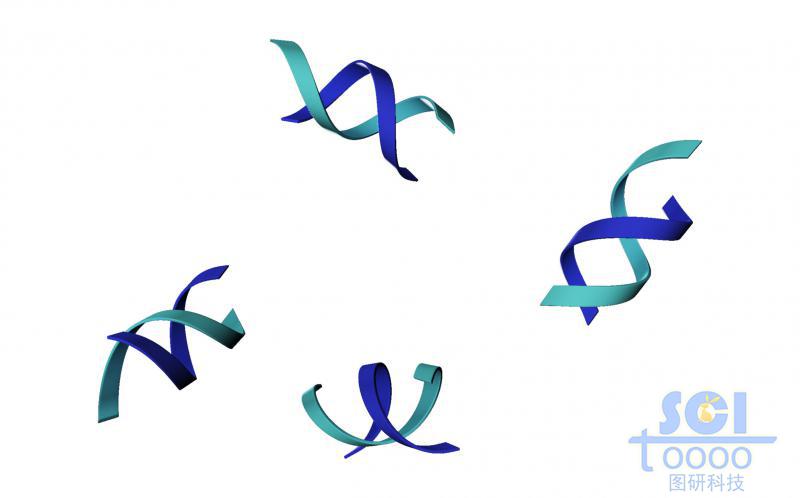 不帶堿基對(duì)的DNA雙螺旋鏈