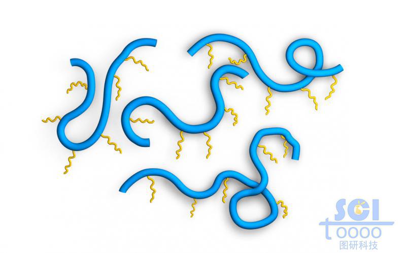 柔軟帶支鏈的高分子鏈段