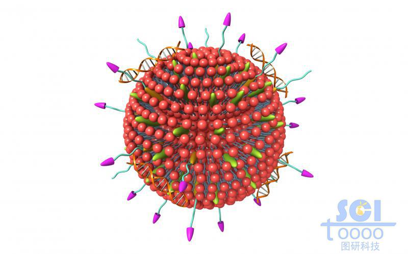 修飾高分子鏈段/靶頭的脂質(zhì)體內(nèi)嵌藥物結(jié)構(gòu)