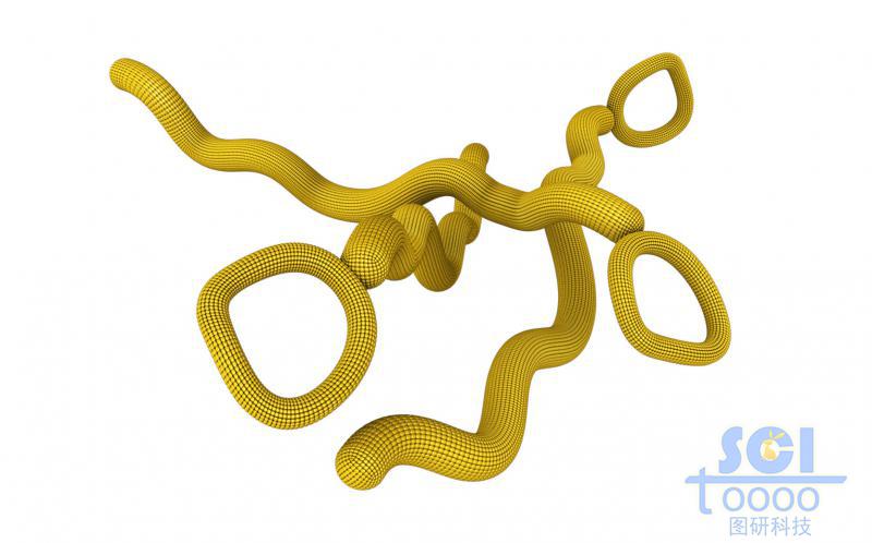 高分子鏈段聚合形成的環(huán)與鏈并存的膠束