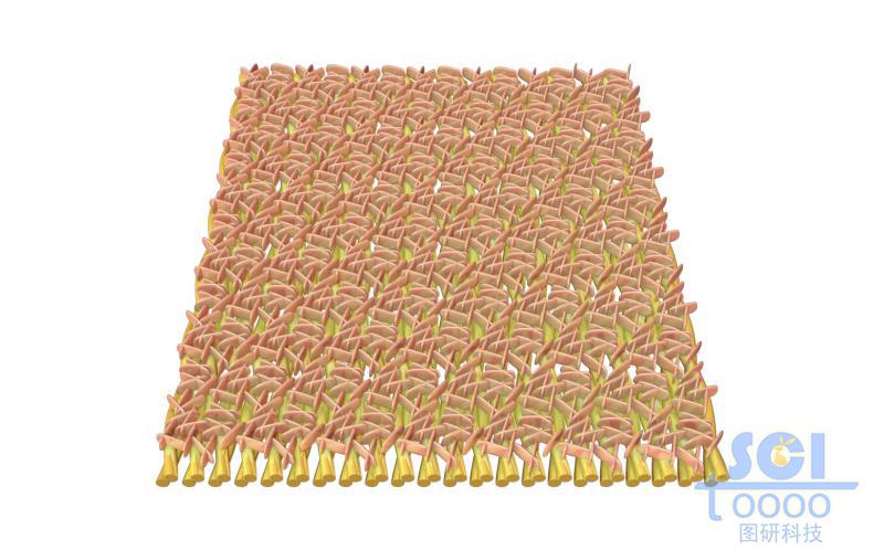 多孔膜結(jié)構(gòu)