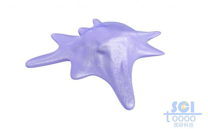 帶觸角的細(xì)胞單體