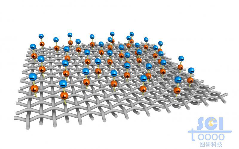 表面附著帶+/-電荷的縱橫交錯(cuò)的網(wǎng)狀膜結(jié)構(gòu)