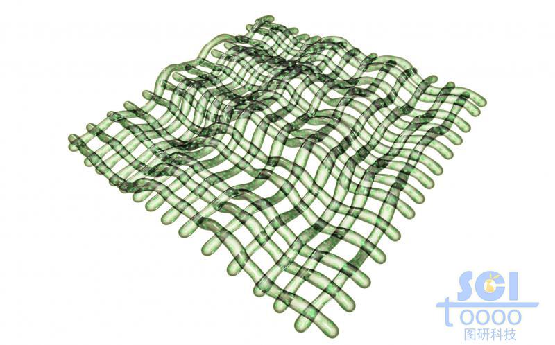 縱橫交錯(cuò)的網(wǎng)狀膜結(jié)構(gòu)