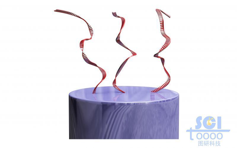 頂端帶DNA配體的納米線放大圖