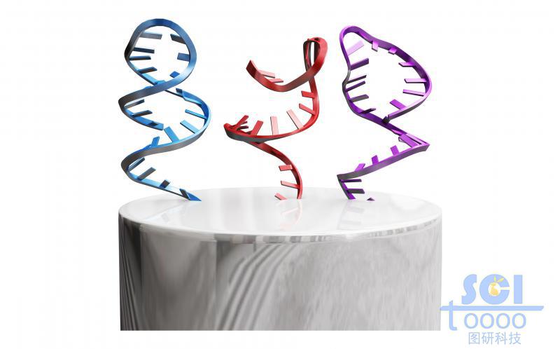 頂端帶DNA配體的納米線放大圖