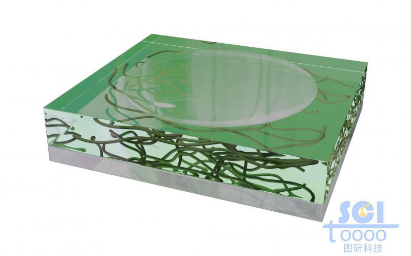 金屬基底板上平攤一層水膜，水膜中浸泡著多跟碳納米管