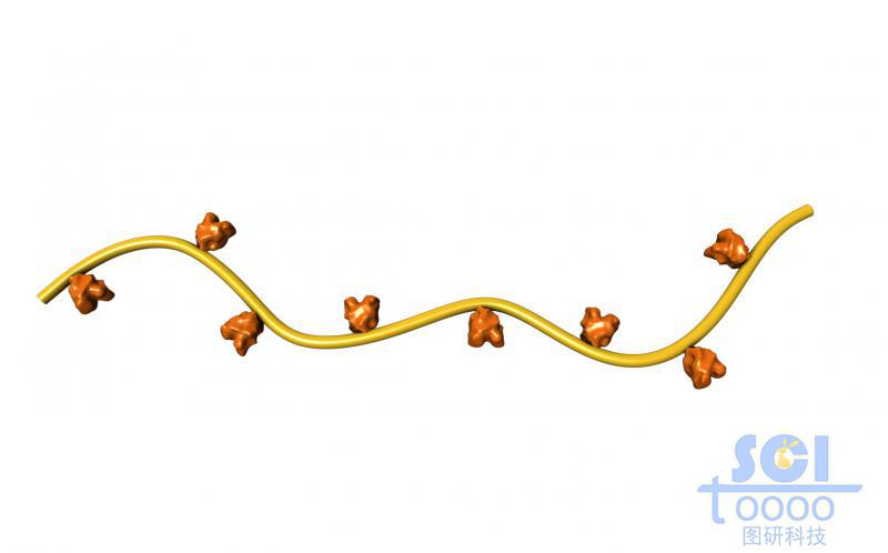 帶功能基團的高分子鏈段