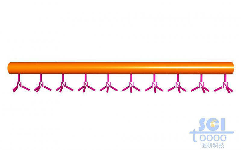 帶小分子基團的高分子鏈段模式圖/示意圖