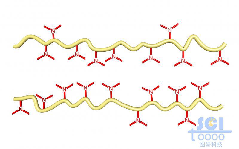 帶小分子基團的高分子鏈段模式圖/示意圖
