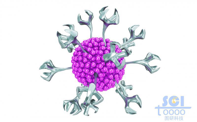 表面帶樹杈狀突起結構的納米藥物