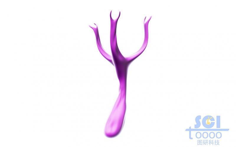 三個突觸的樹杈狀結(jié)構(gòu)