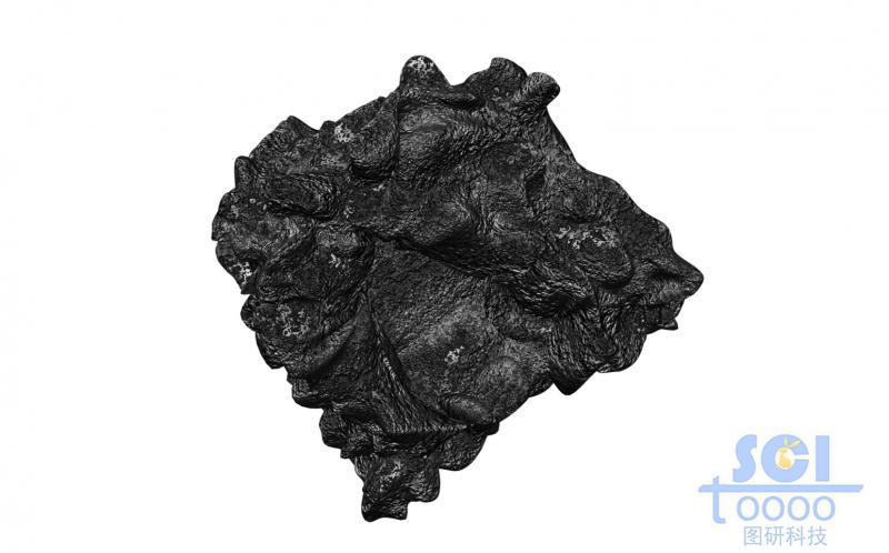 褶皺起伏的碳材料