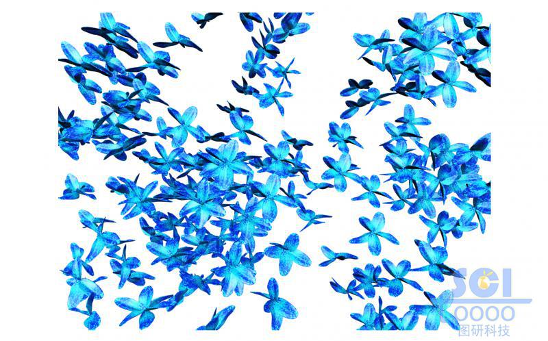 TTC4L-Ag+ 晶體結(jié)構(gòu)