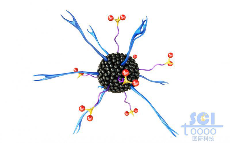 表面帶受體和葉酸小分子的納米碳點(diǎn)/納米材料/納米藥物