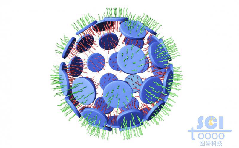 介孔納米片上生長正反面高分子鏈段/親疏水鏈段聚團形成納米球/微球