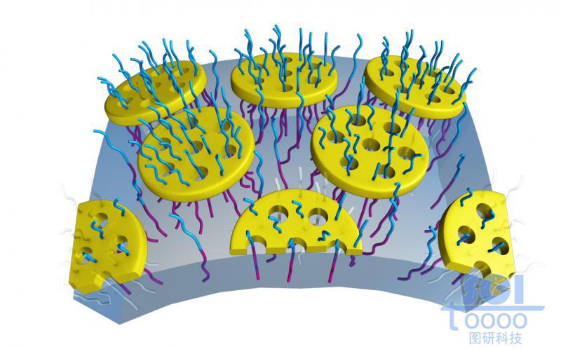 親水鏈段朝內(nèi)疏水鏈段朝外形成的囊泡局部結(jié)構(gòu)放大/示范