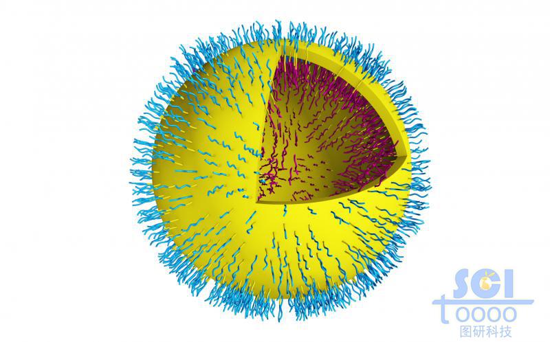 親水鏈段朝內(nèi)疏水鏈段朝外形成的空心球殼