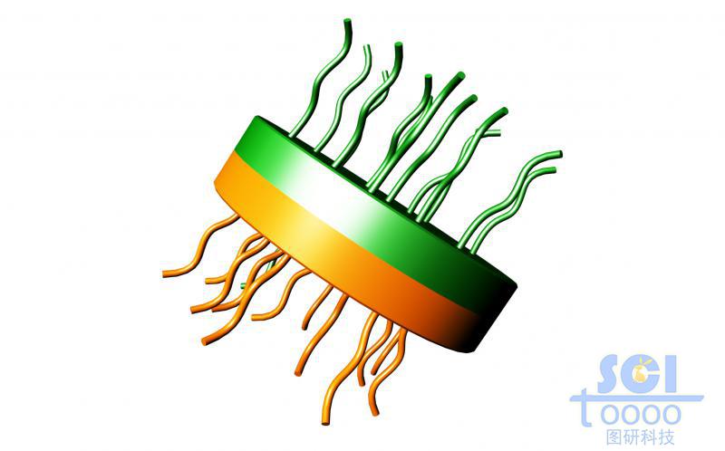 介孔納米片上生長正反面高分子鏈段/親疏水鏈段