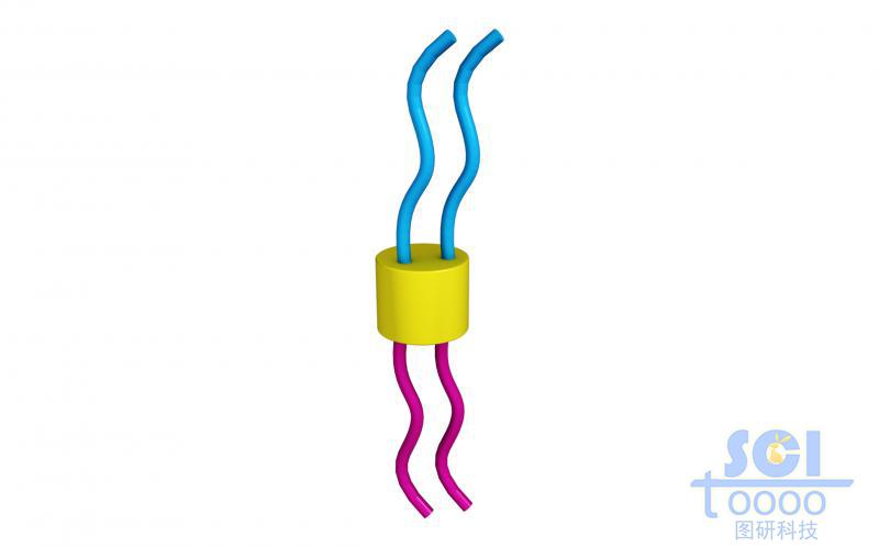 介孔納米片上生長正反面高分子鏈段/親疏水鏈段