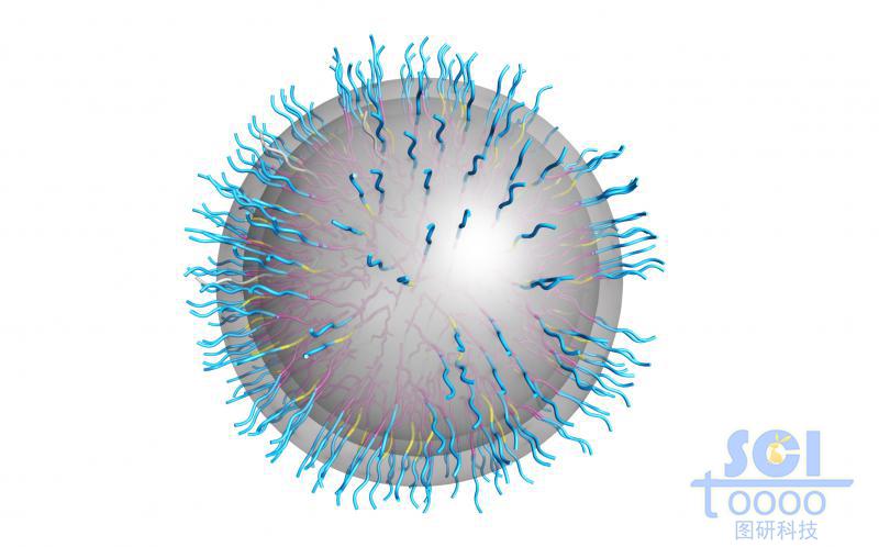 親水鏈段朝內(nèi)疏水鏈段朝外形成的囊泡