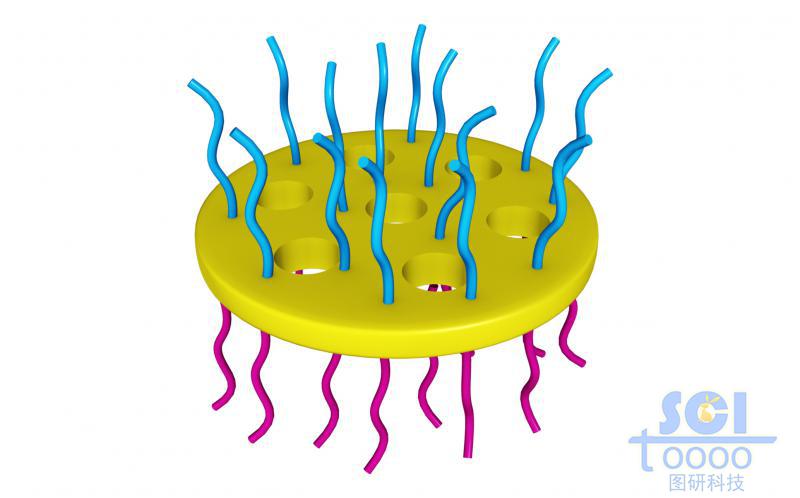 介孔納米片上生長正反面高分子鏈段/親疏水鏈段